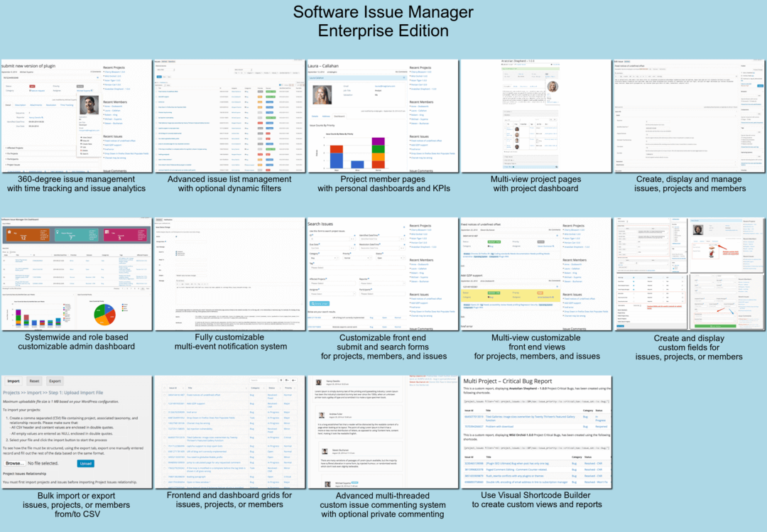 Easy to use Issue Edit screen in admin area
