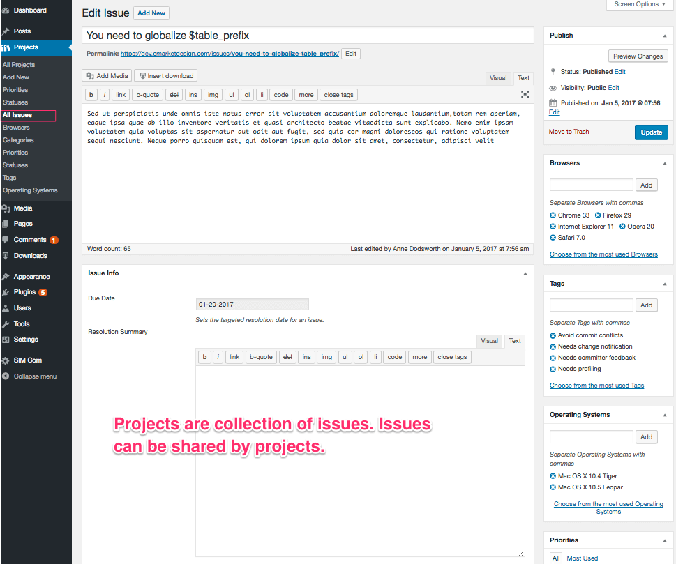 Pro level, responsive Project single page on the frontend