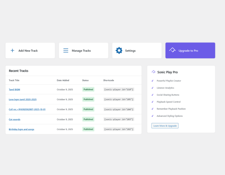 **Sonic Play Dashboard:** The main dashboard for managing all your audio tracks at a glance.