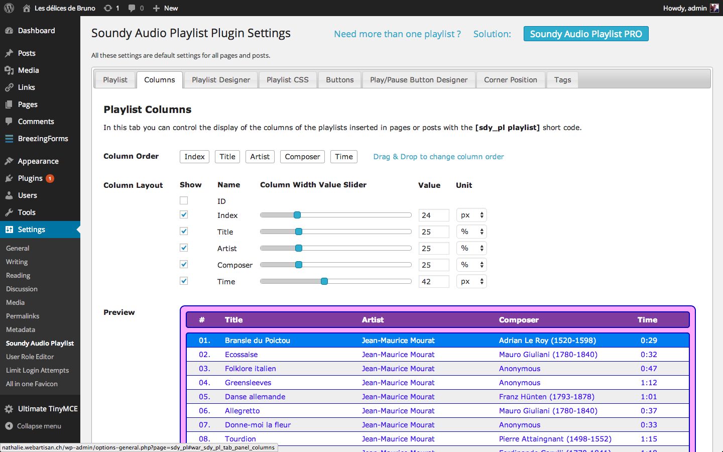 **Playlist Columns Settings**
