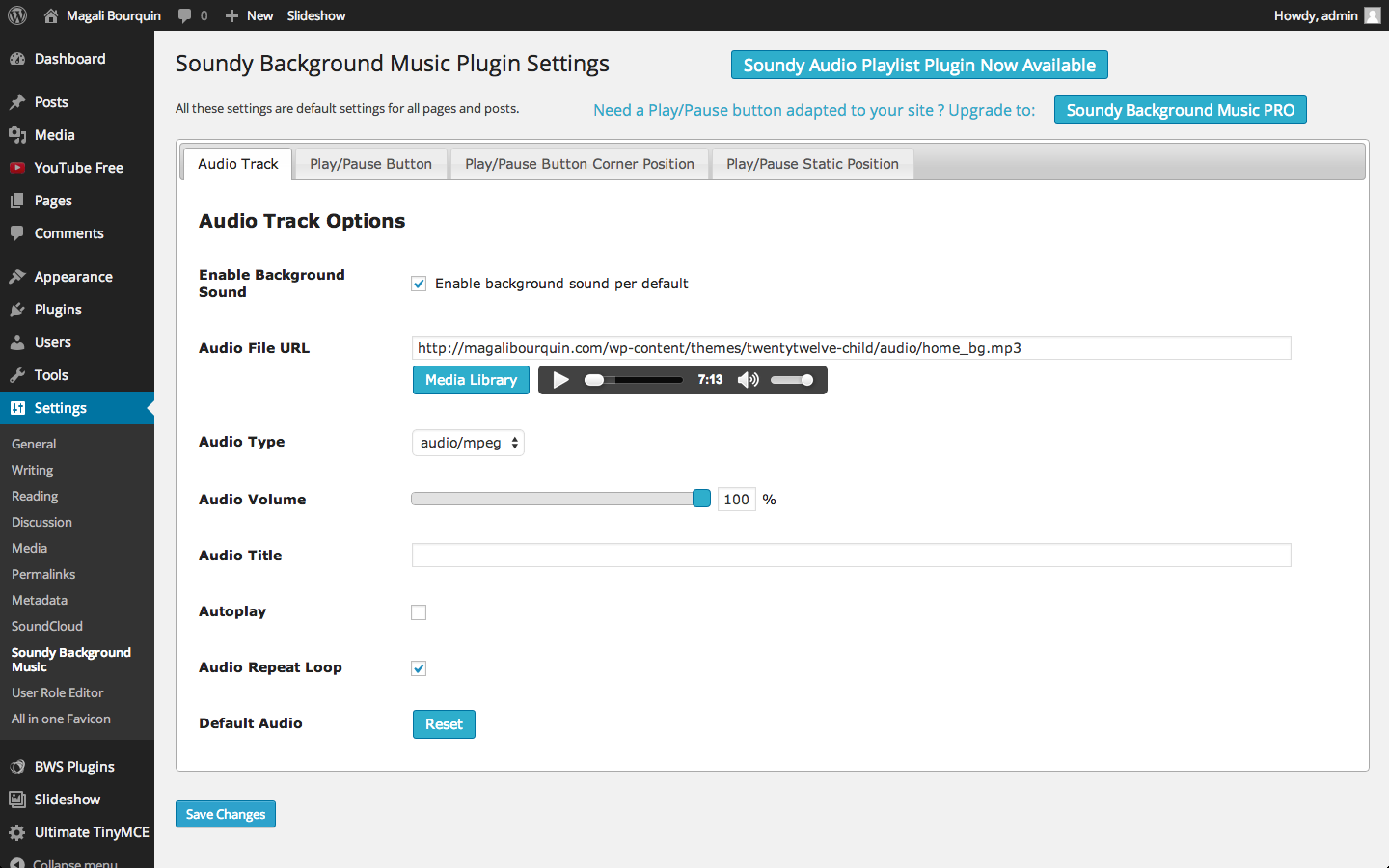 **Default Audio Track Settings**