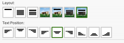 Custom controls to place text on image