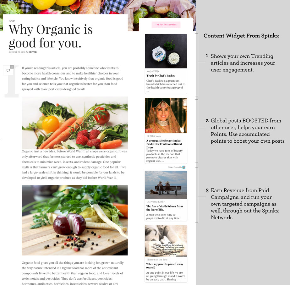 Front-end Display of the Widget