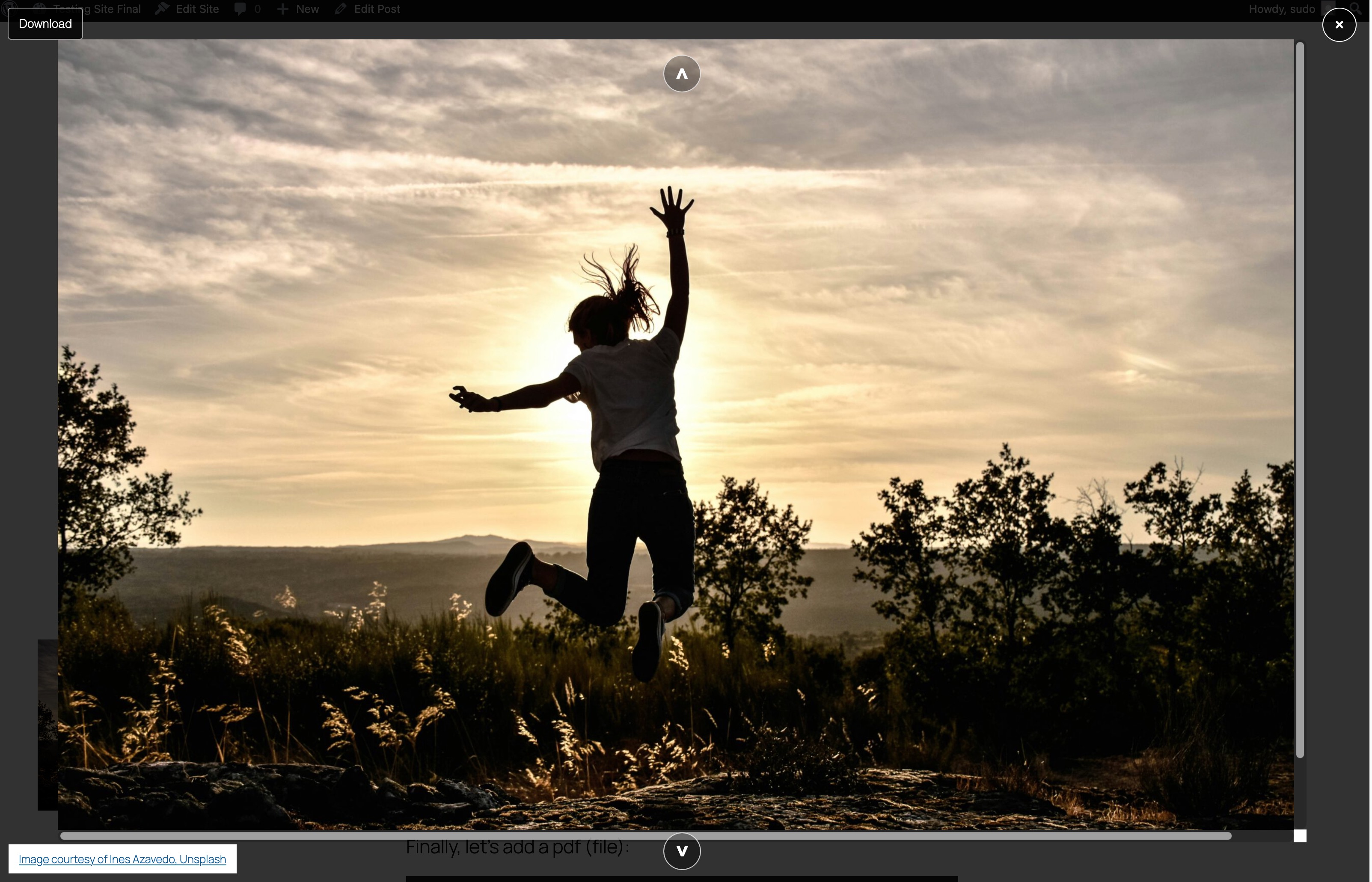 An example of the Image Lightbox unfurled, showcasing the download and close buttons.