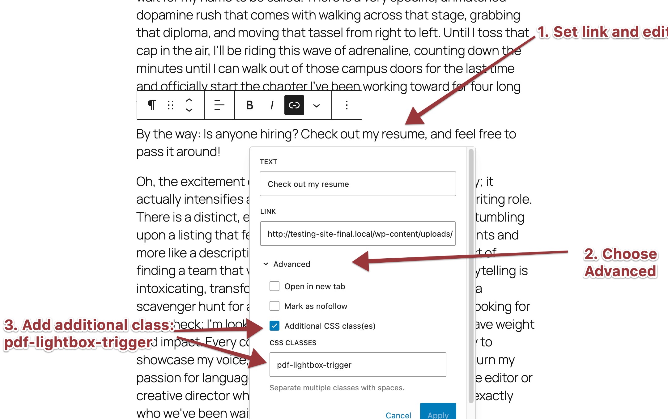 How to add a PDF trigger class using the Gutenberg editor's "Advanced" panel.