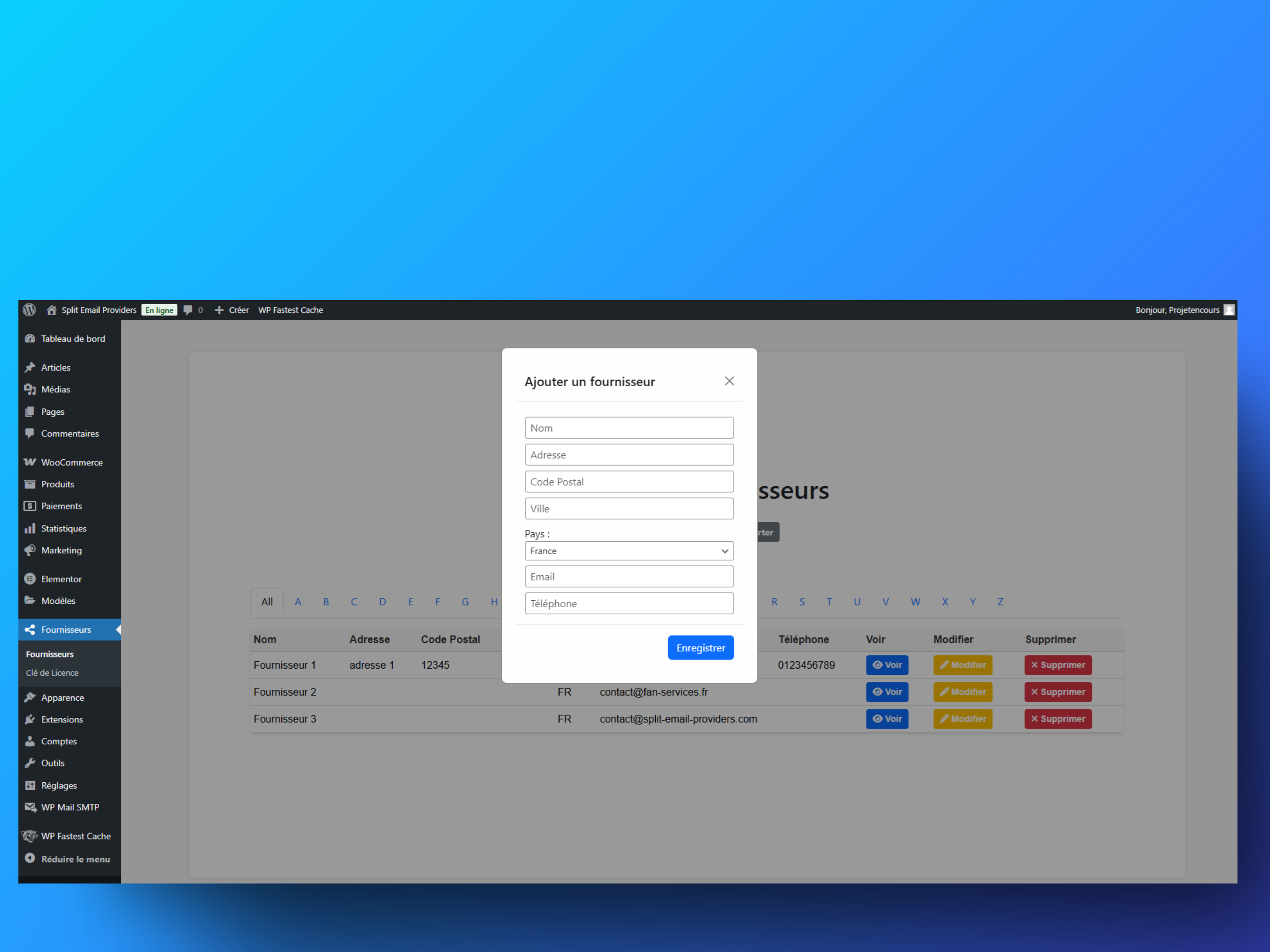 **Add Provider** – ➕ Form to add a new provider with their contact details and email address.
