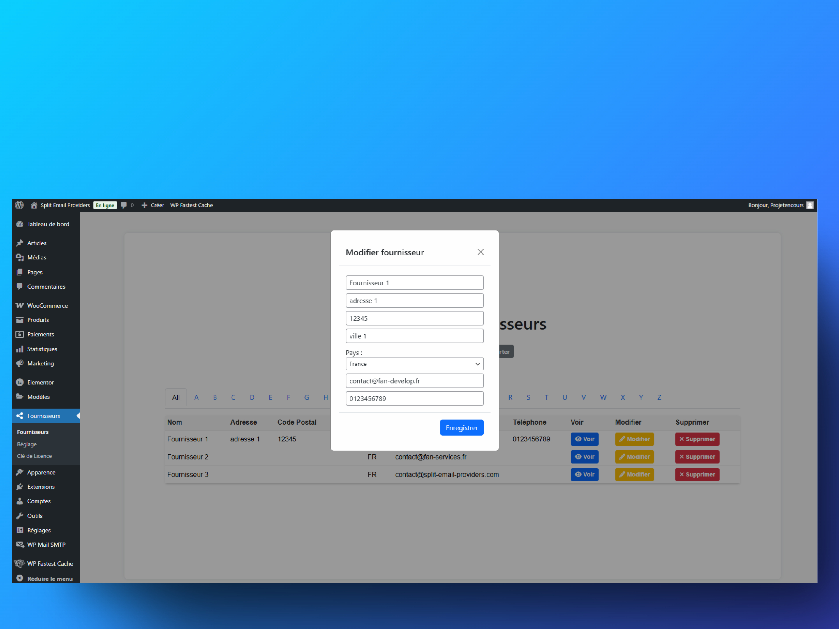 **Edit Provider** – ✏️ Interface to edit the information of an existing provider.