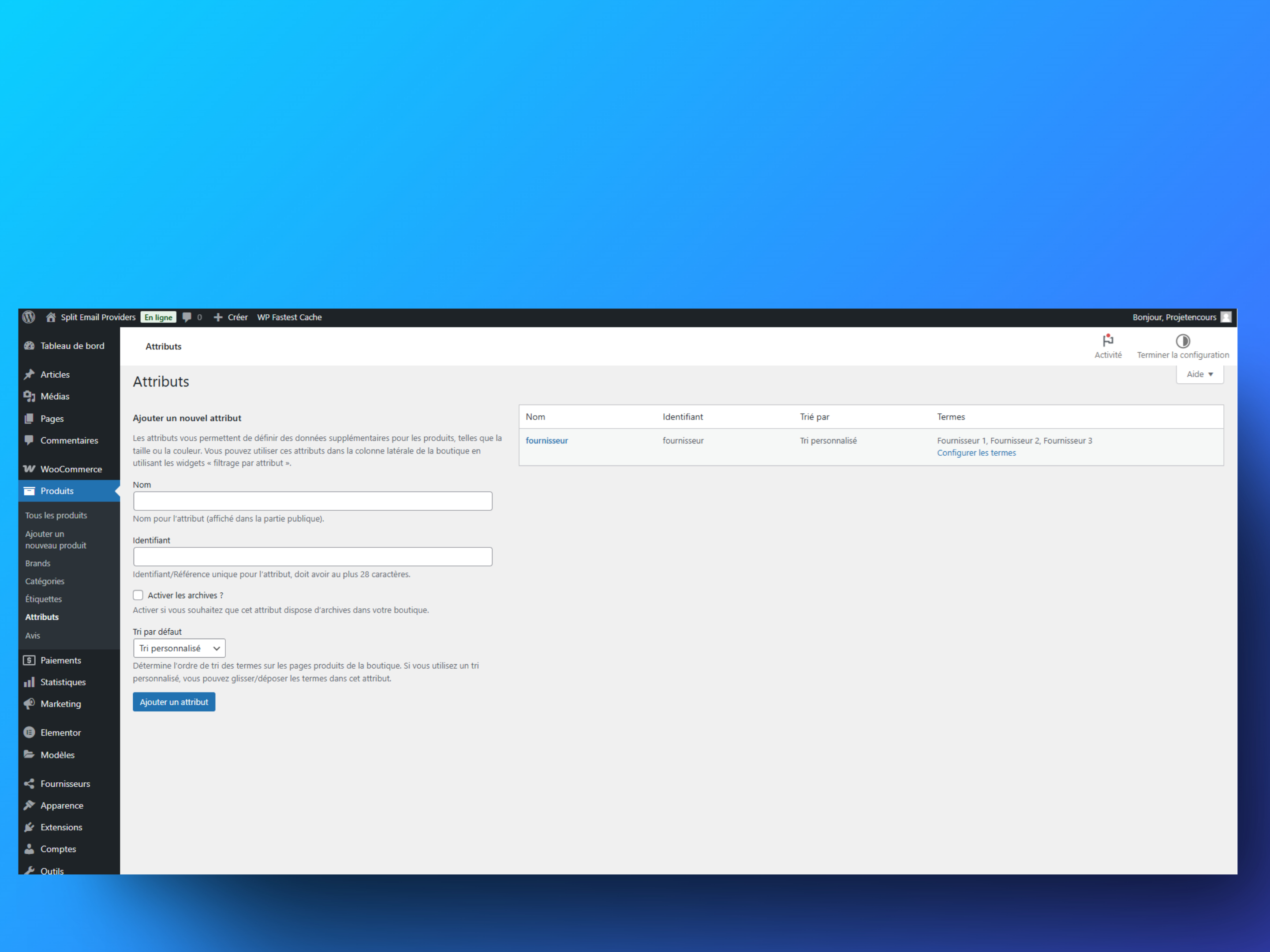 **Add Provider Attribute** – 🛠️ Add a custom provider attribute in WooCommerce.