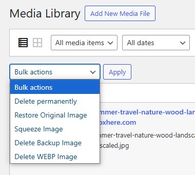 Squeeze's Restore and Recompress Options