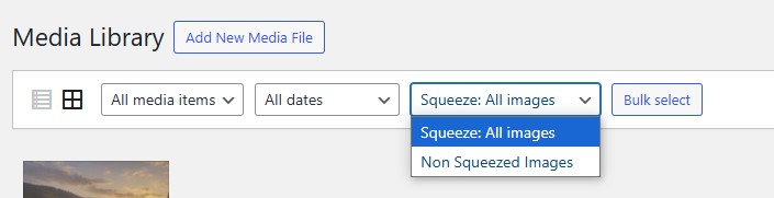 Serving WEBP images instead of JPG and PNG. Even though the URL of the image remains the same, the response is in the WEBP format.
