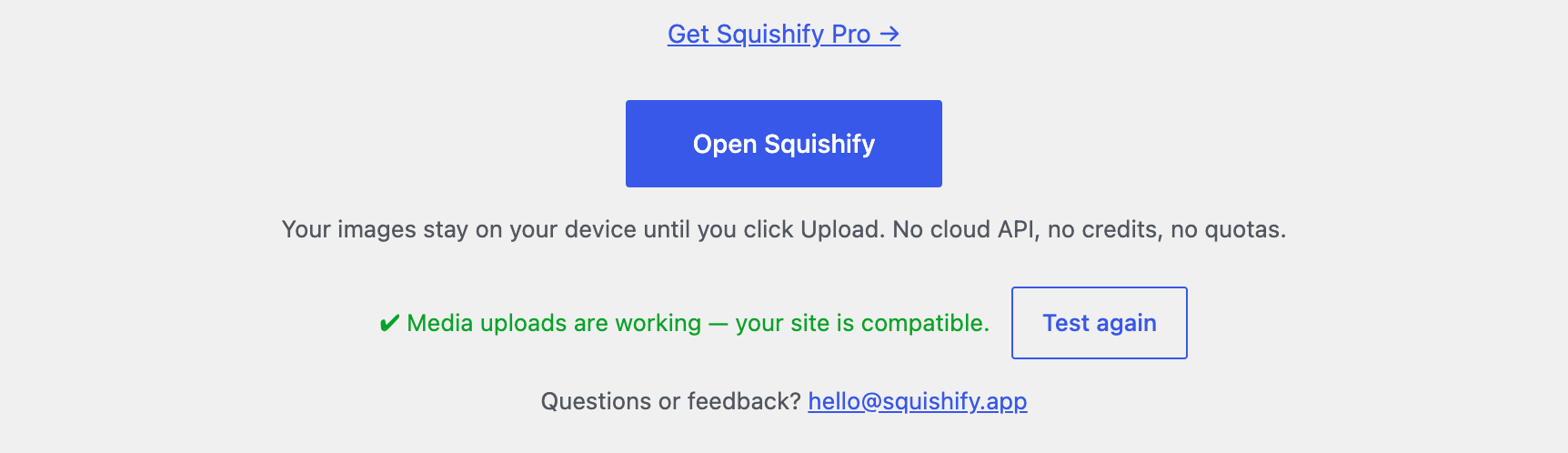 The Media → Squishify compatibility check, confirming your site is ready.
