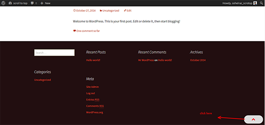 sr-scroll-to-top-wp plugin look like every page in WordPress theme