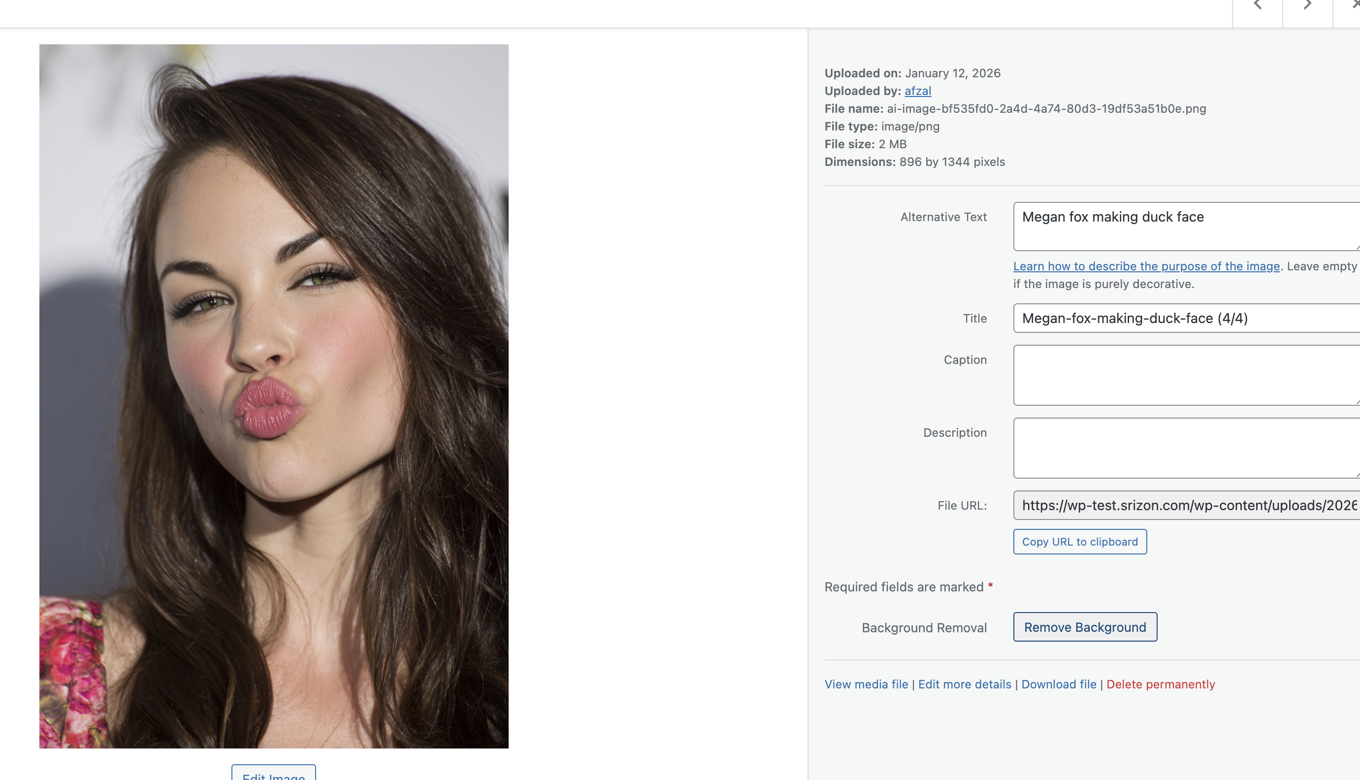 Attachment details view with "Remove Background" button for single image processing