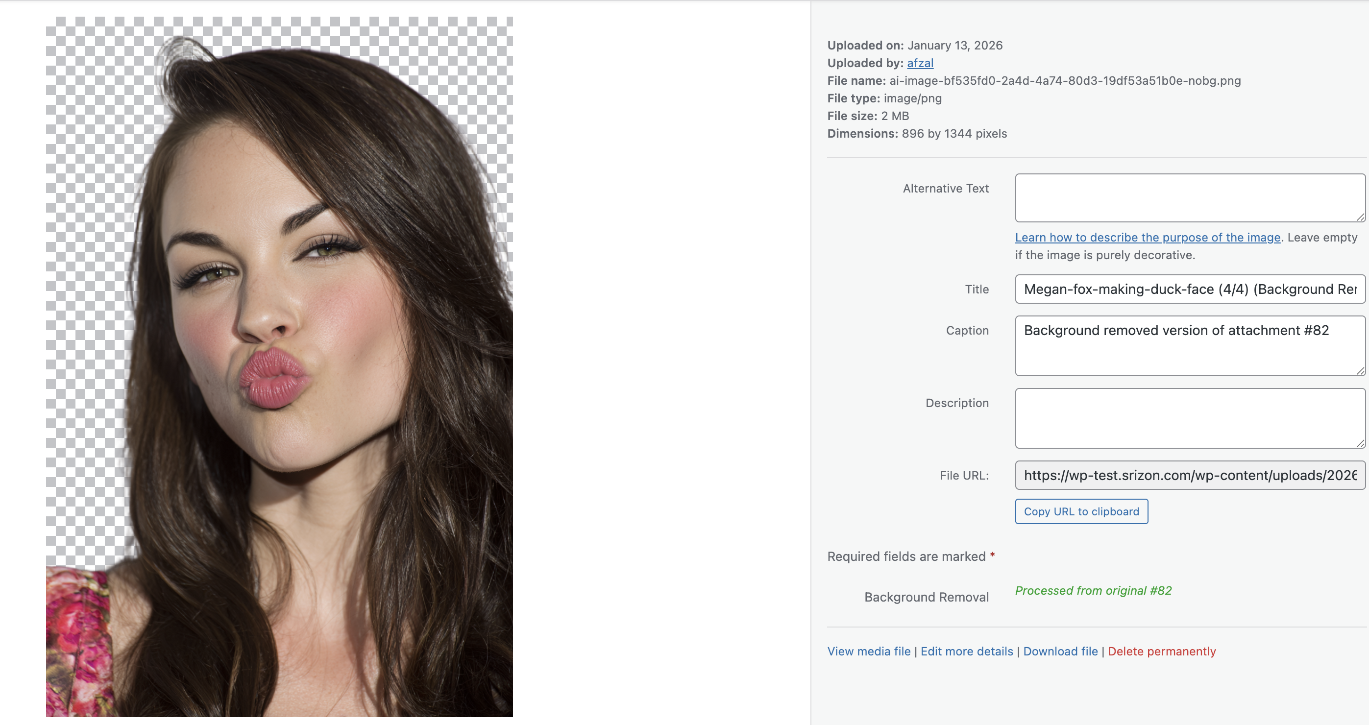 Background removal result showing the image with transparent background