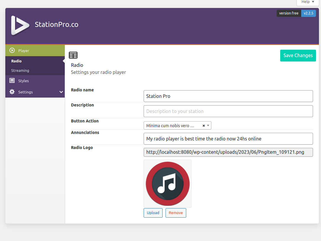 Backend skyns selection playwer for your radio station
