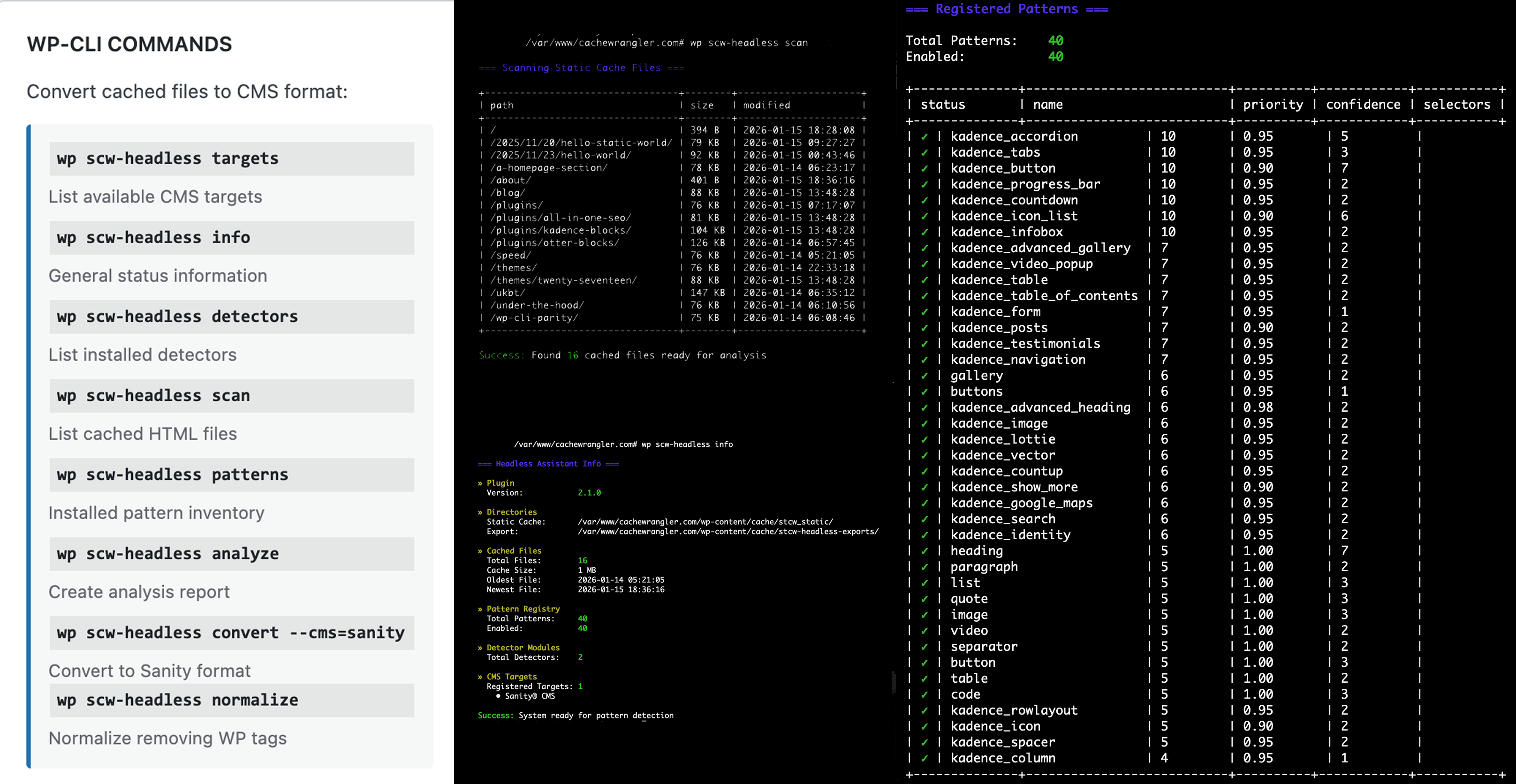 WP-CLI Command and Example Output