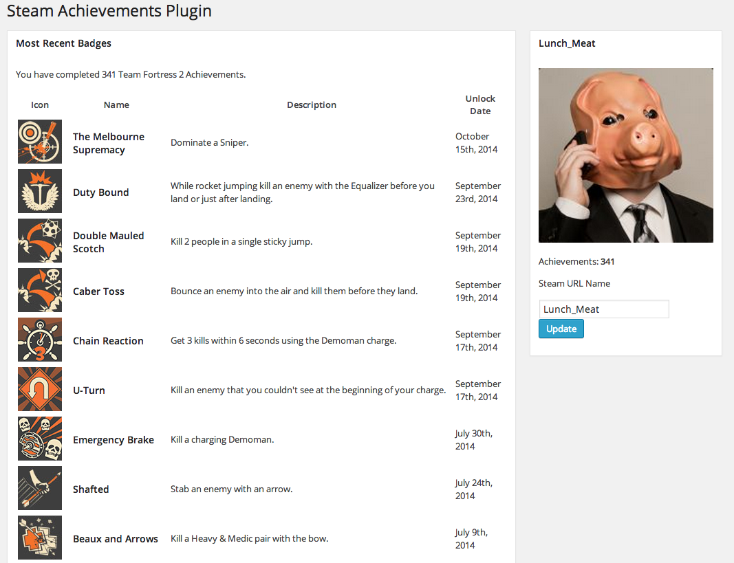 The plugin settings page with a successful profile.