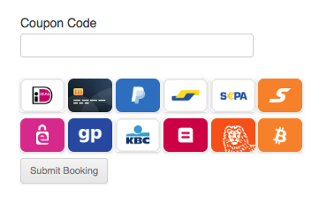 Show activated payment methods on Booking Form.