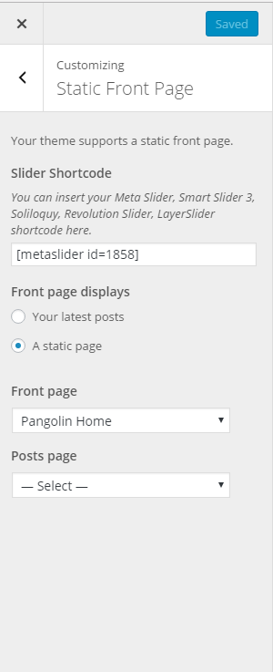 Storefront Slider WordPress Custoizer area