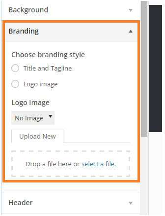 Branding section added on the Customizer page under Appearance.