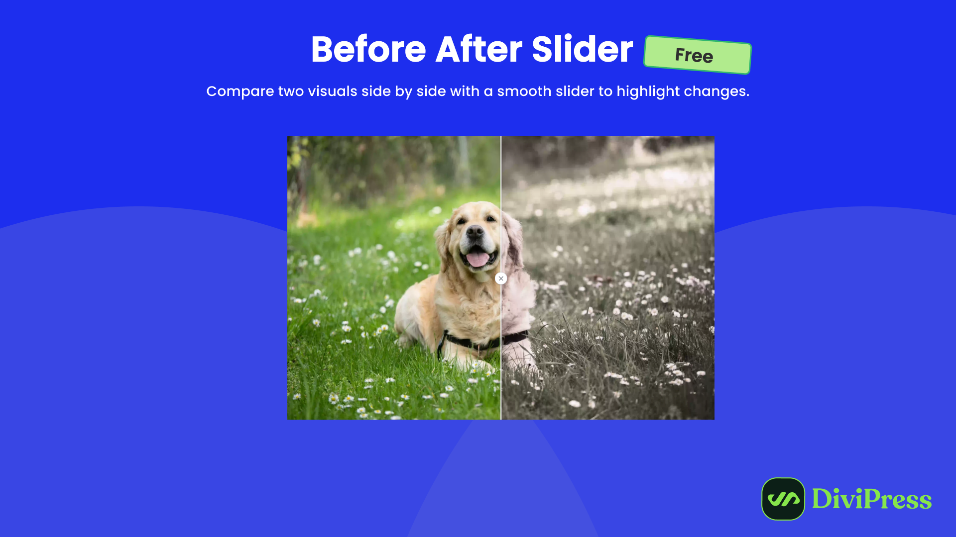 Before After Slider