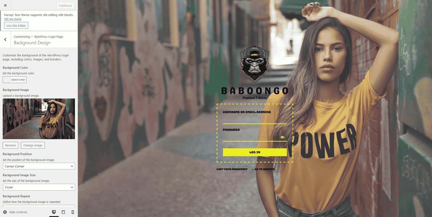 WordPress Login Page Design Template 6.