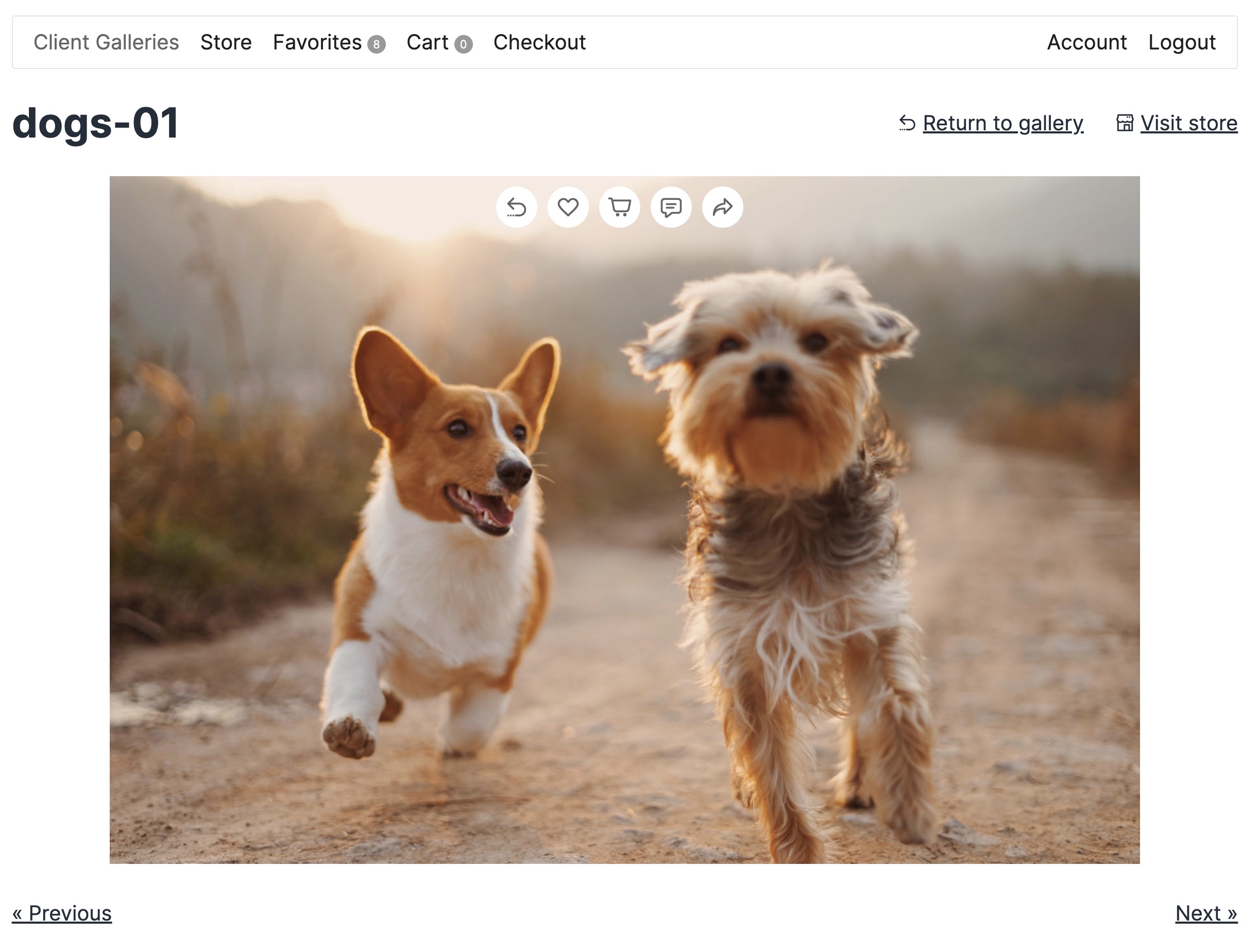 Store View - showing products first and allow customers to add multiple images to cart at once