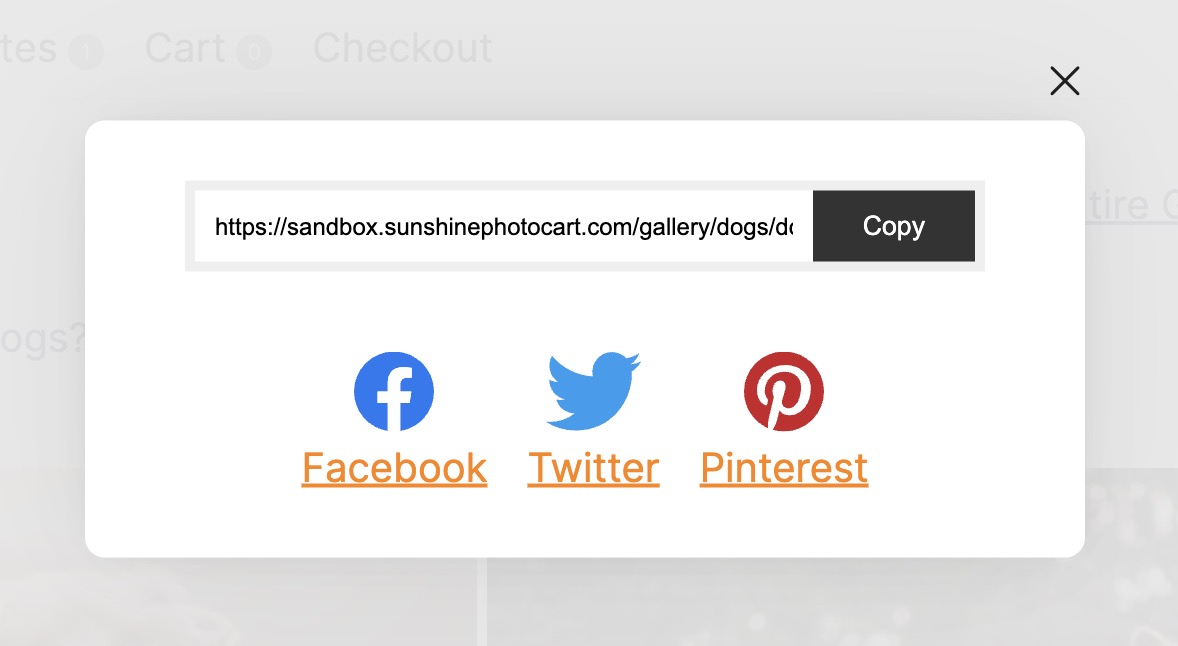 One page checkout - easy, quick process for your clients to pay for their order