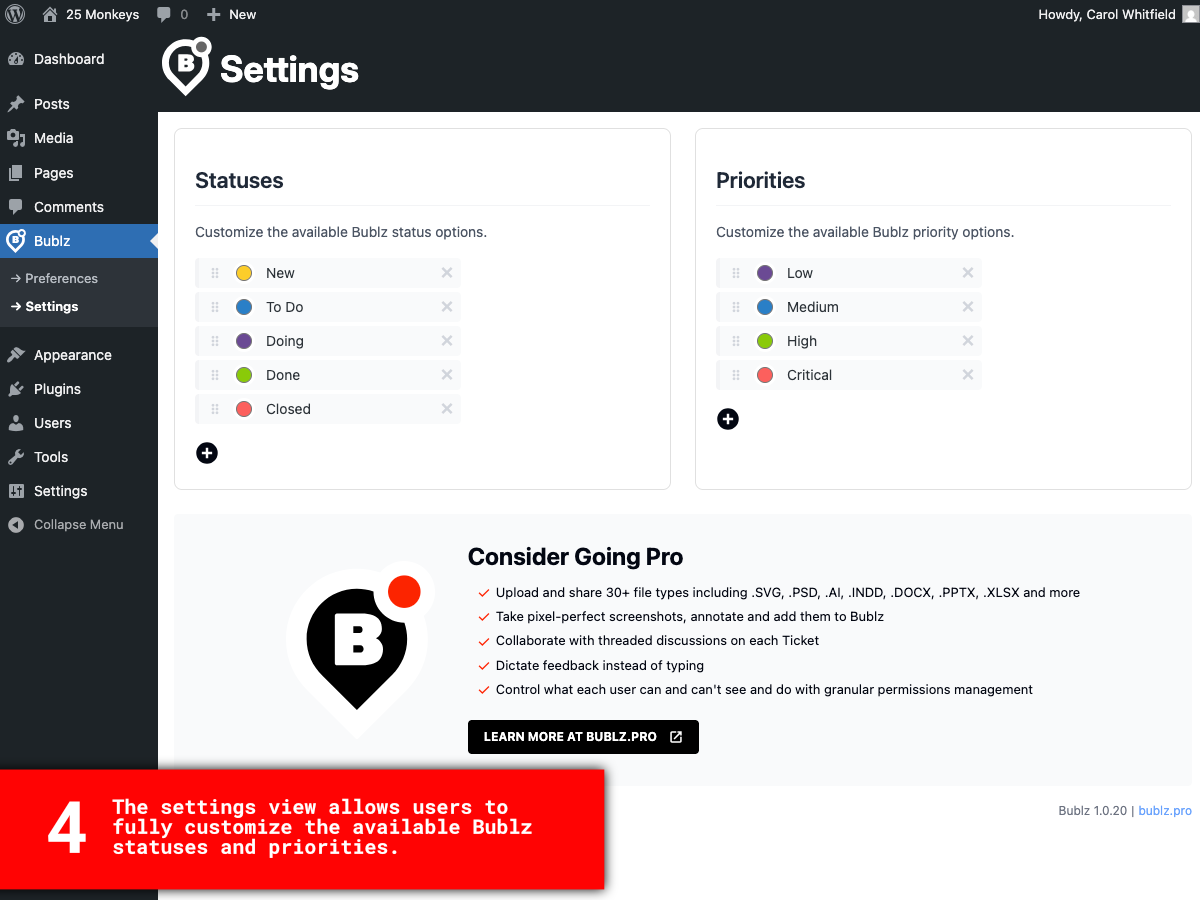 **Settings View** - Configure the statuses and priorities to best fit your workflow