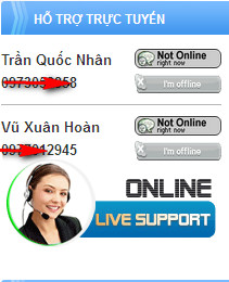 Support Online  Status Widget