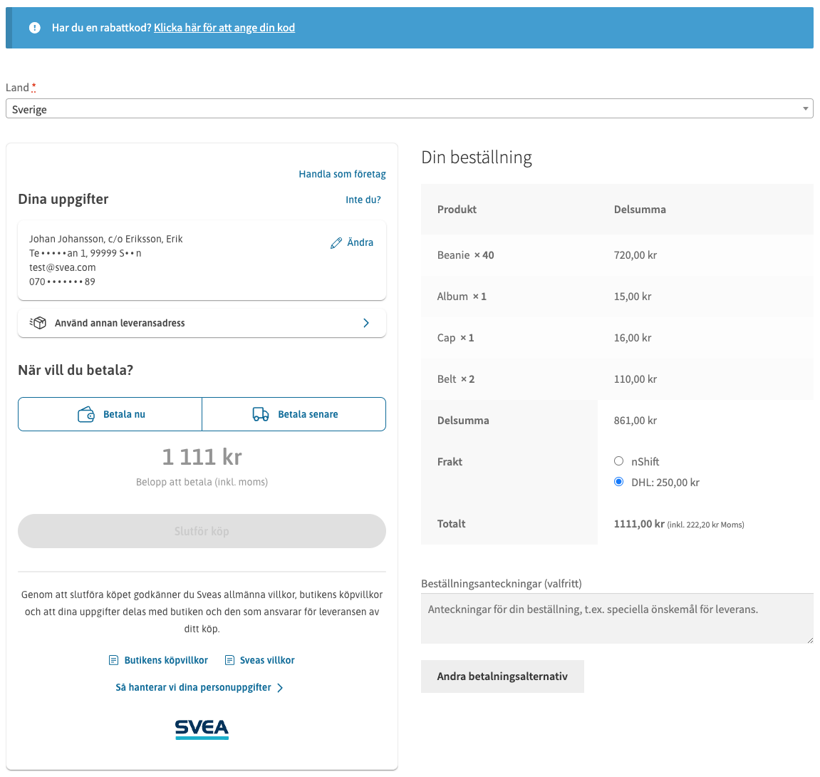 Checkout page after contact details are entered and possible payment options are displayed.
