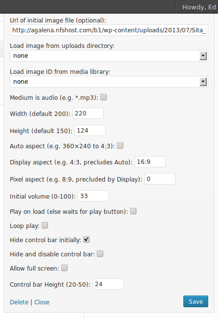 The SWFPut widget setup form (bottom).