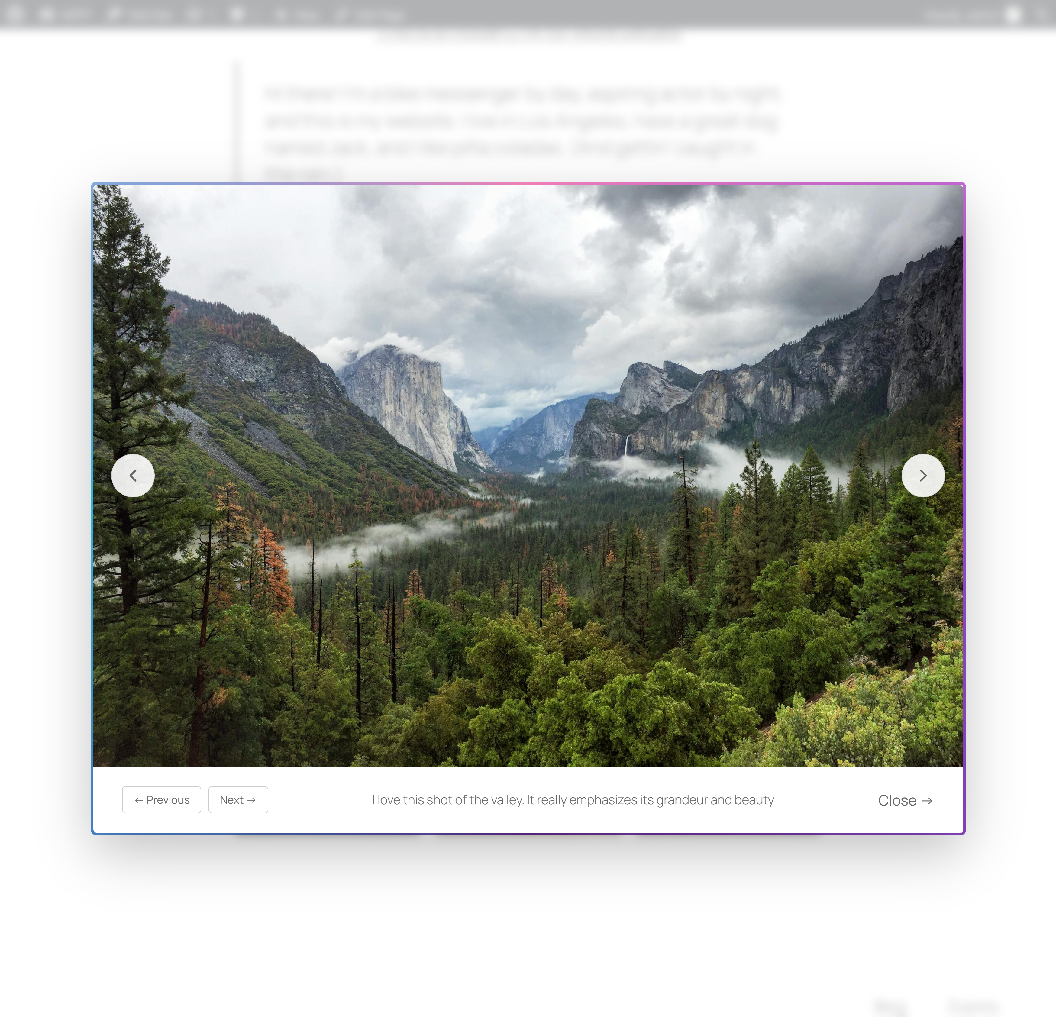 An example of the Gallery block inside our modal, with image navigation on the image and below as well as caption support.
