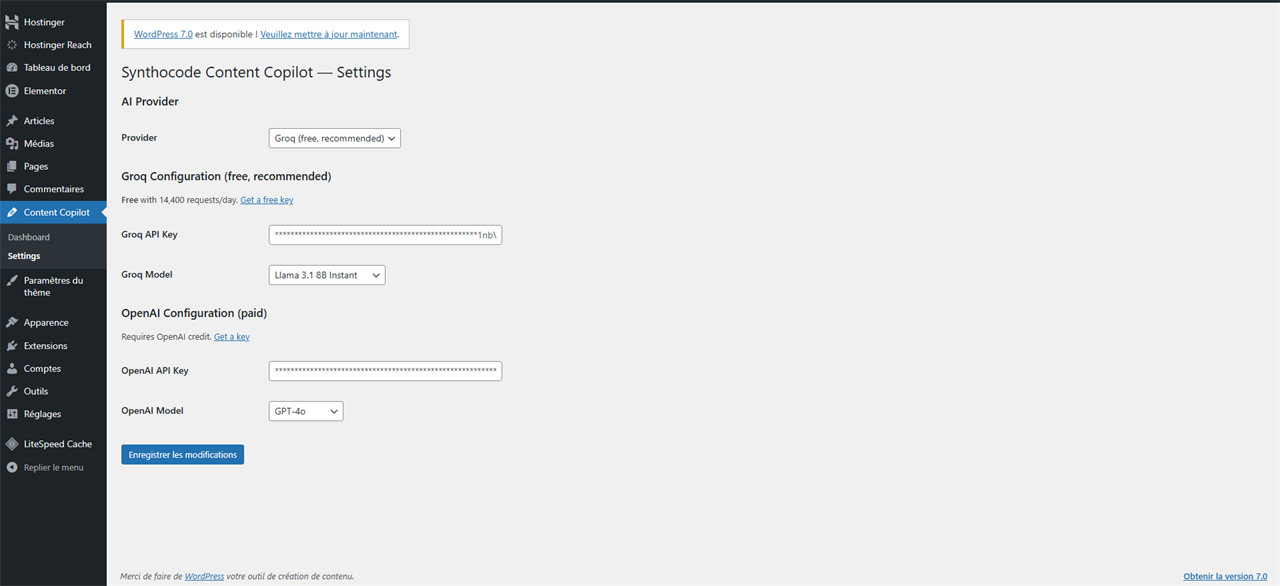 Settings page with API key configuration
