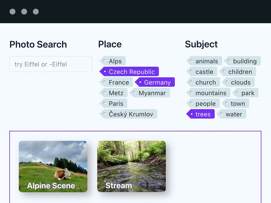 The Toggle Post Filter allows users to dynamically search for posts that have tags they choose.