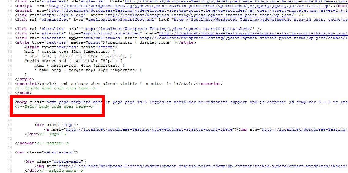 The body snippet code code placment in the page itself