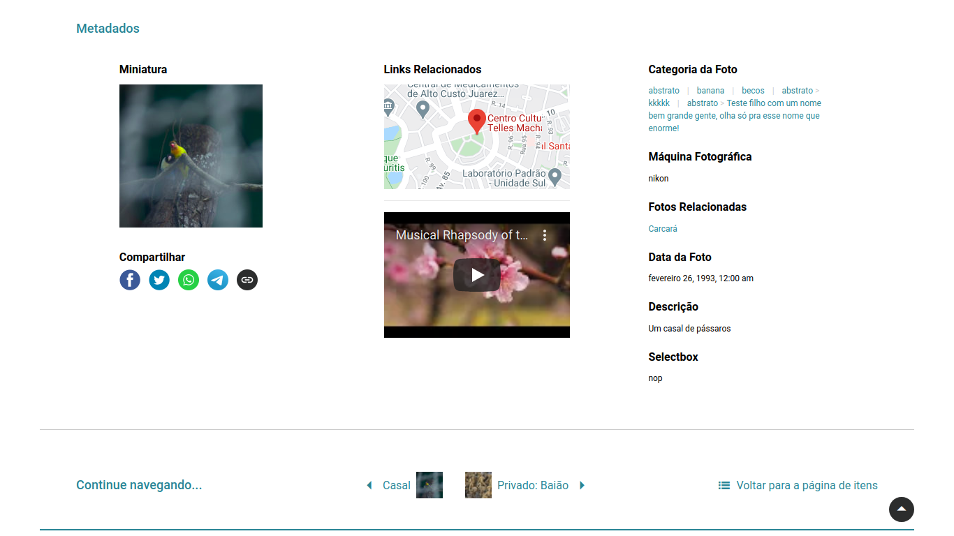 Visualize the  metadata published on your theme;