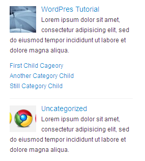 This is screenshot of widget in frontend