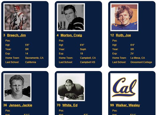Sample Player Gallery
