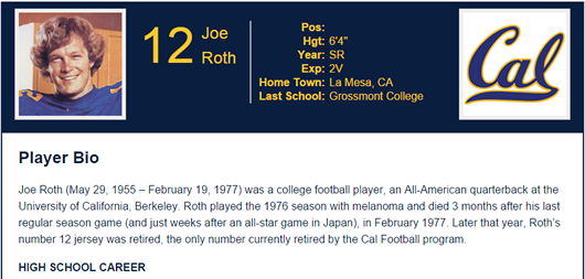 Sample Single Player Bio