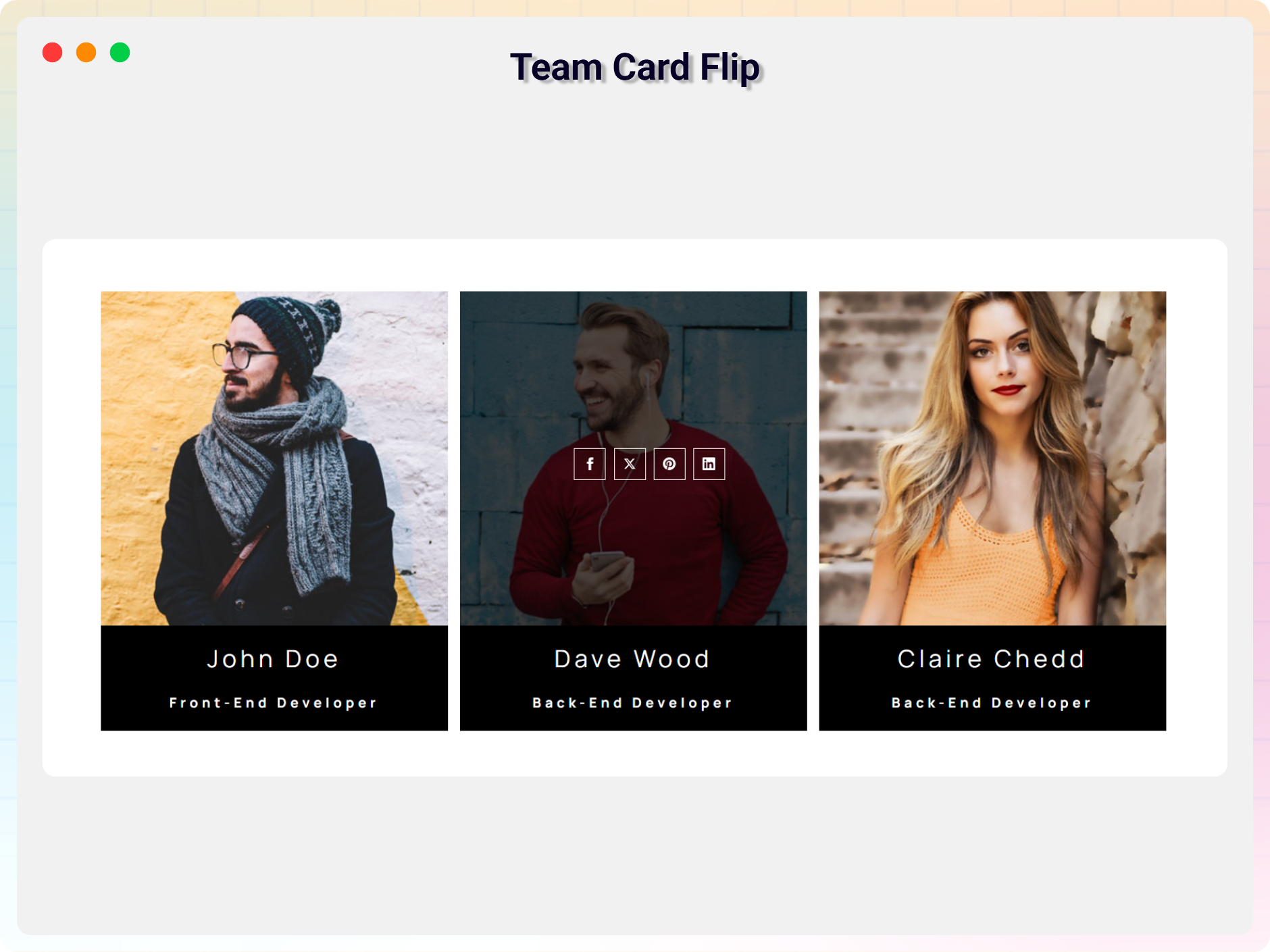 Team Section - Theme 8