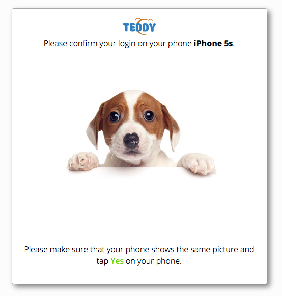 Confirmation picture. User needs to check that the same picture was sent to his phone and tap Yes on the phone. He'll be logged in in a few seconds.