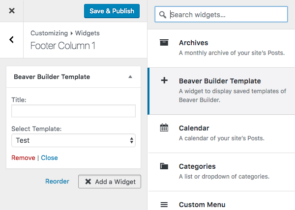 Widgets in backend