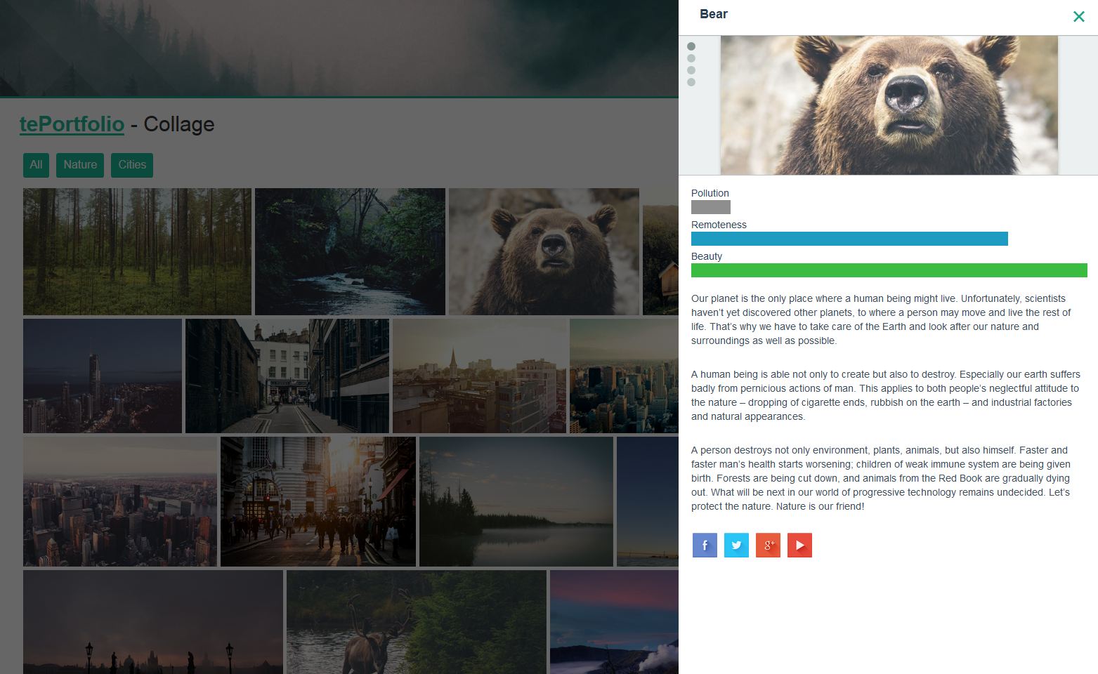 Preview of the plugin