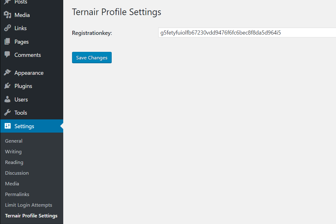 Insert key by Ternair Profile Settings.