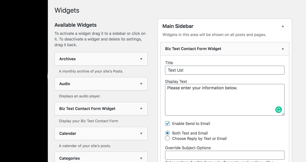 Form customizations for your WordPress Biz Text widgets screenshot-2.(png|jpg|jpeg|gif).
