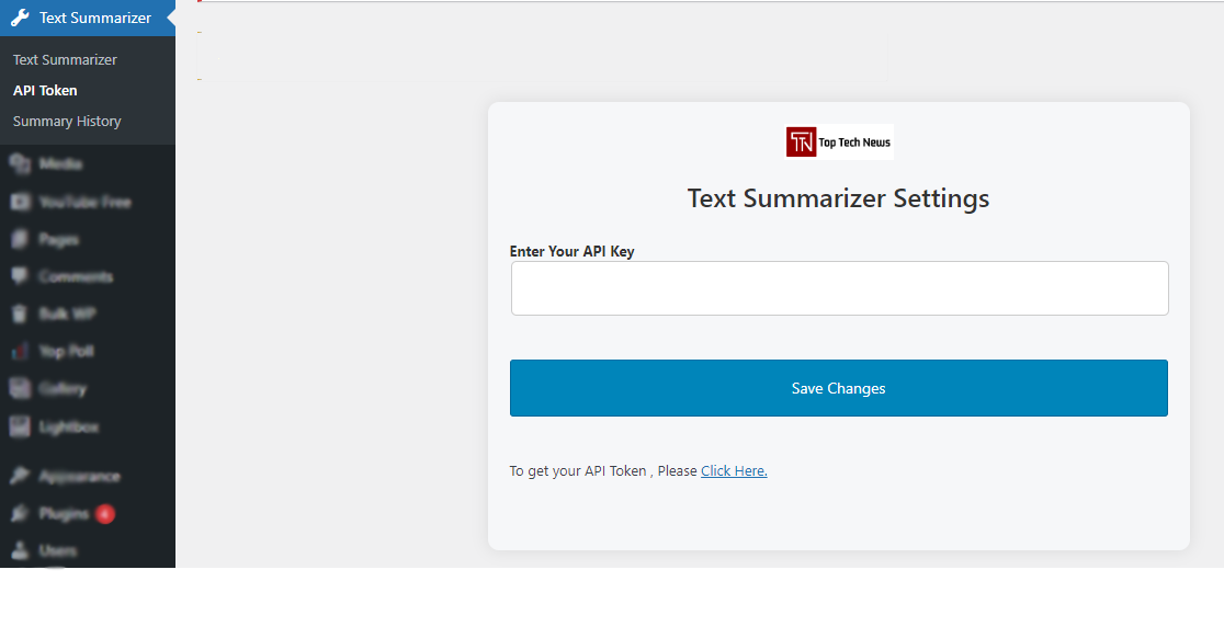 The API Token menu in the WordPress backend where users can enter the Access Key obtained after registering and logging into the admin panel.