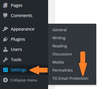 How to access TG Email Protection plugin settings interface from admin screen of your WordPress website.