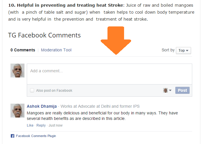 See in action, how Facebook Comments are actually displayed on your website with TG Facebook Comments plugin.