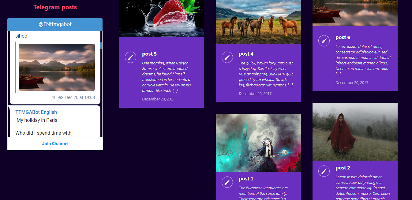Show your Channel in sidebar using TGchannel widget. (screen-1.png)